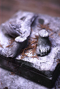 angel feet